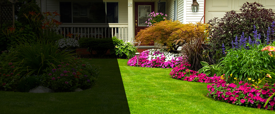 Delano Landscapers