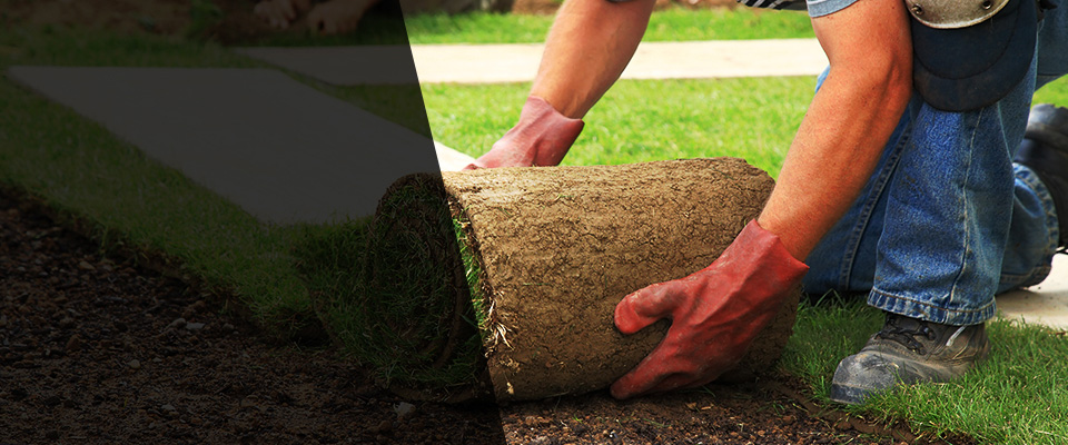 Delano Landscapers